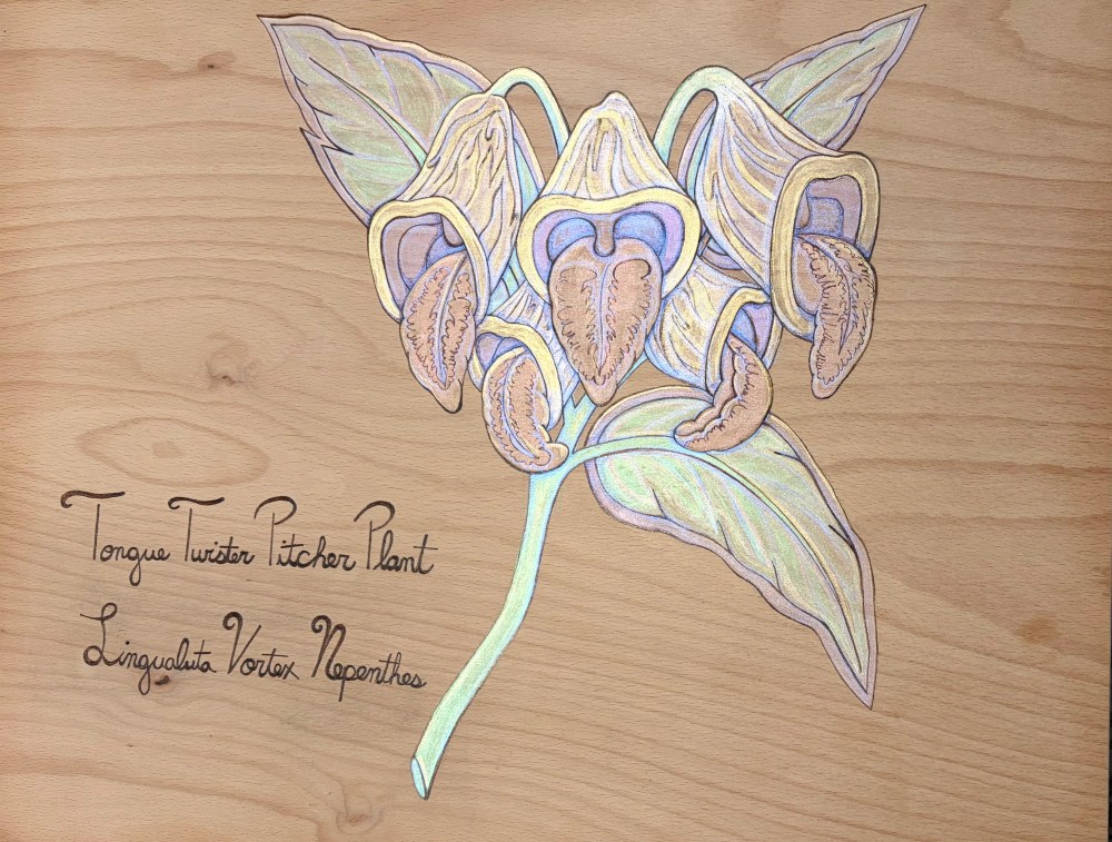 Tongue Twister Pitcher Plant (Botanical Organ Series) 20"x16", wood burning with crushed iridescent mineral, 2025