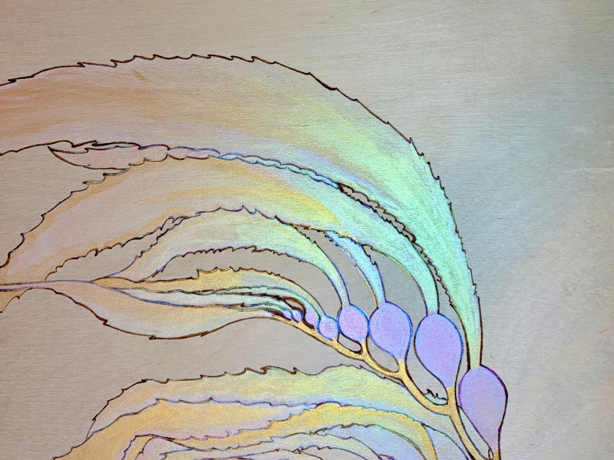 Sea Spirals